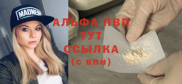 стаф Домодедово
