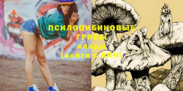 a pvp Алексеевка